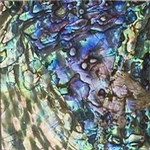 mozaika perłowa na płycie model paua