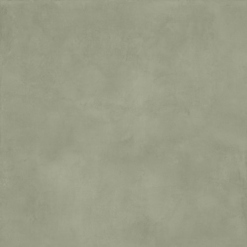 Marca Corona Multiforme Lichene